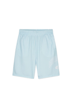 Afbeelding in Gallery-weergave laden, Equalité SENNA MESH SHORTS LIGHT BLUE