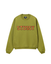 Afbeelding in Gallery-weergave laden, Stussy Relaxed Oversized Crew - Green