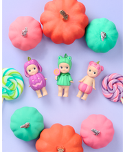 Load image into Gallery viewer, Sonny Angel Pumpkin Patch Hallowheen Series 2025