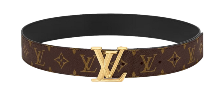 Louis Vuitton Brown/Gold Louis Vuitton Belt LV